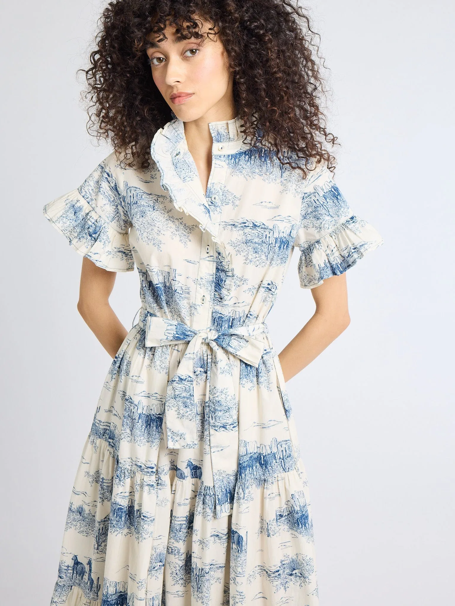 Outdoor Scene Bright Colors Victoria Dress in Western Toile
