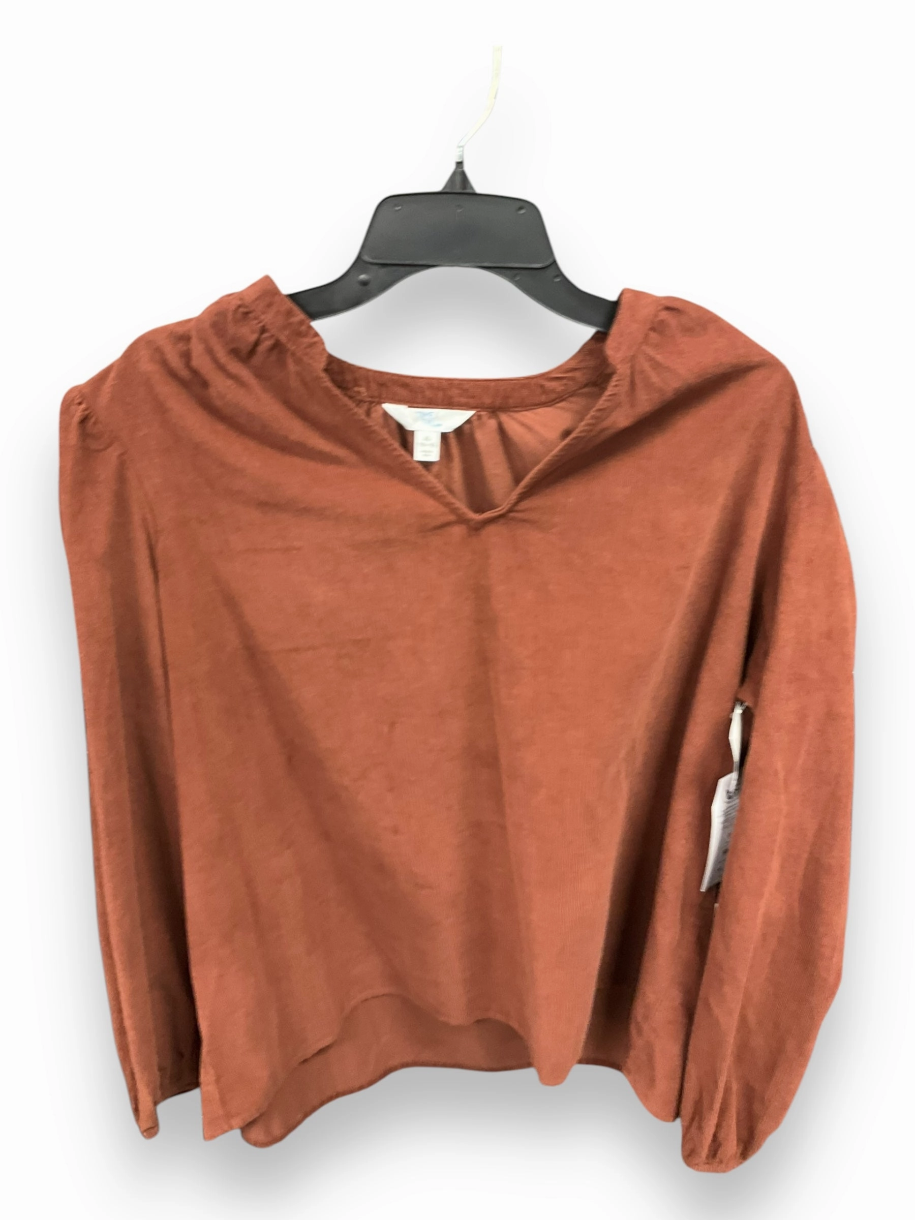Top Long Sleeve By Time And Tru In Brown, Size: Xl WrinkleResistant Cloth